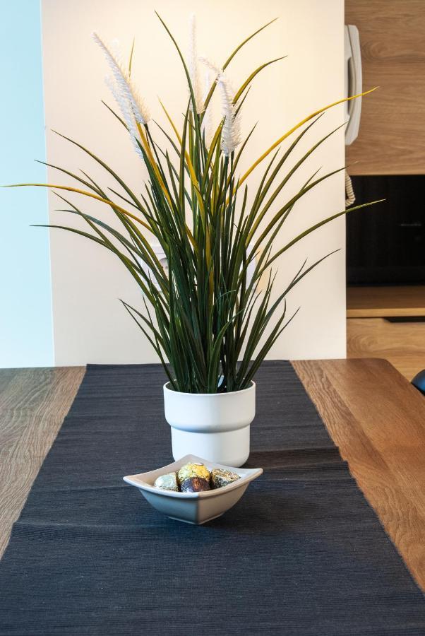 N10 Apartment بلغراد المظهر الخارجي الصورة
